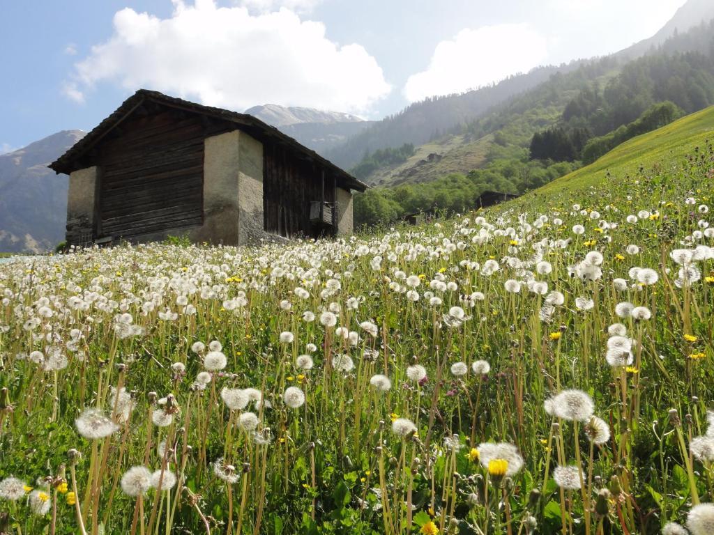 Ferienwohnung Mura Vals Exterior photo